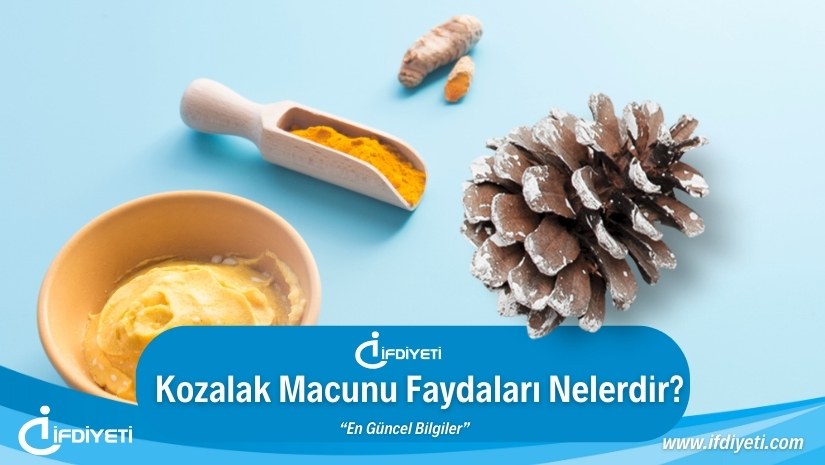 Kozalak Macunu Faydaları Nelerdir?